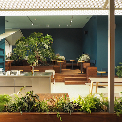 1510900092323189.jpg 20171029-PA294583.jpg