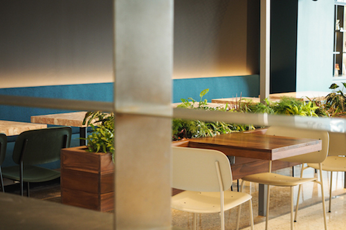 1510900406699283.jpg 20171029-PA294822.jpg