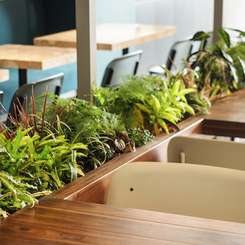 1510900200718001.jpg 20171029-PA294758.jpg