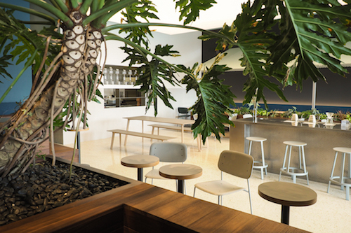 1510900188155950.jpg 20171029-PA294790.jpg