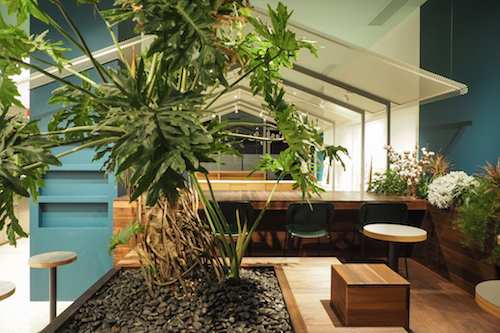 1510900271156275.jpg 20171030-PA304940.jpg