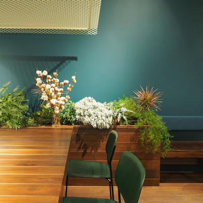 1510900907485080.jpg 20171030-PA304942.jpg